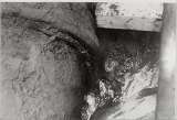 s097.jpg