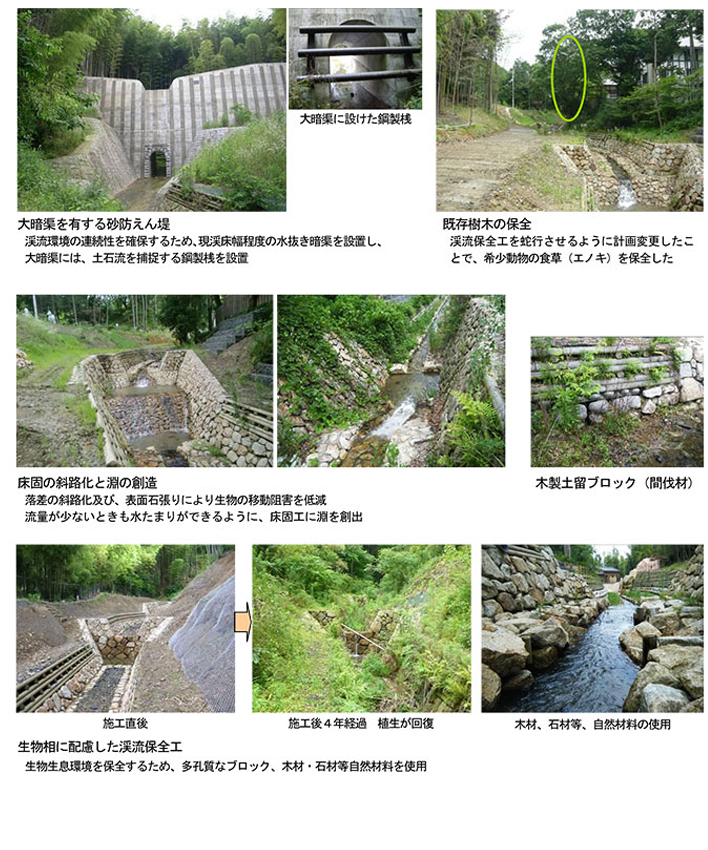 作品集:坂川堰堤及び渓流保全工
